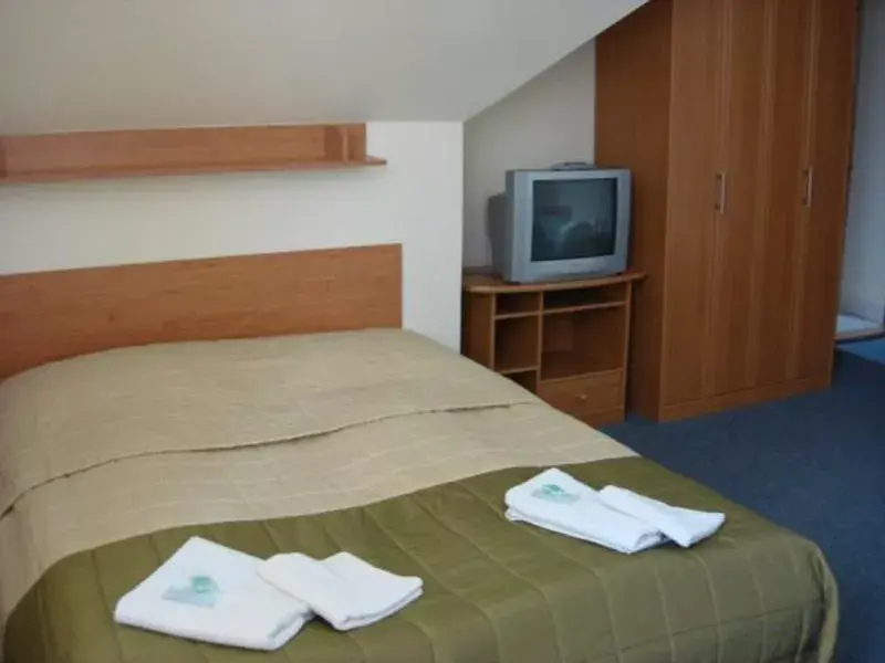Photo 5 of Aura Pension Špičák